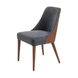 Berjer Modeli