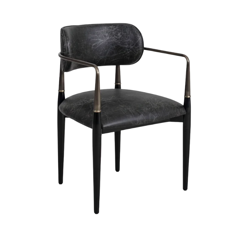 Berjer Modeli