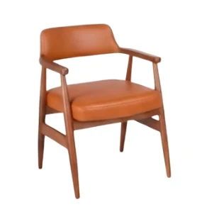 Berjer Modeli