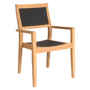 Berjer Modeli