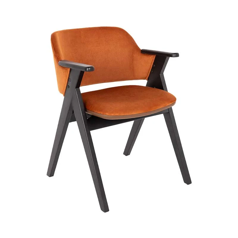 Berjer Modeli