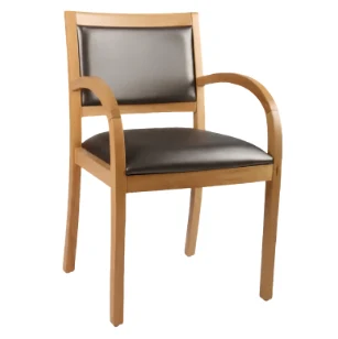 Berjer Modeli