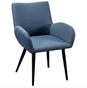 Berjer Modeli