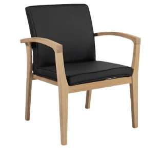 Berjer Modeli